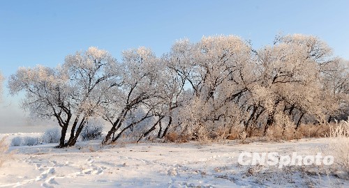Красивая изморозь на участке пограничной реки Хэйлунцзян (Амур) между Китаем и Россией 