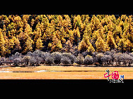 Сказочные осенние пейзажи на западе провинции Сычуань