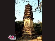 «Лес башен» - Таньчжэ пережил более 10 династий. В нем представлены множество хорошо сохраненных древних башен. 