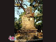 «Лес башен» - Таньчжэ пережил более 10 династий. В нем представлены множество хорошо сохраненных древних башен. 