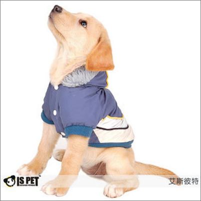 Стильные модели одежды для собак из осенне-зимней коллекции 