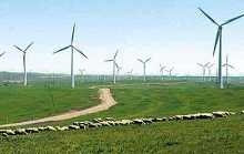 Лидер по объему мощности установленных агрегатов по выработке электричества на основе энергии ветра– Автономный район Внутренняя Монголия