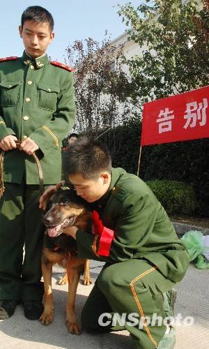 Пожарный, вышедший в отставку, прощается со своим боевым товарищем - поисково-спасательной собакой