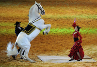 Красавица с конем исполняет танец