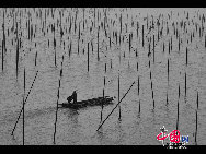 Уезд Сяпу, находящийся в провинции Фуцзянь, славится репутацией места с красивейшими отмелями в Китае и называется «жемчужиной» в Восточно-Китайском море.