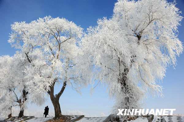 Удивительно красивая изморозь в районе реки Сунхуацзян