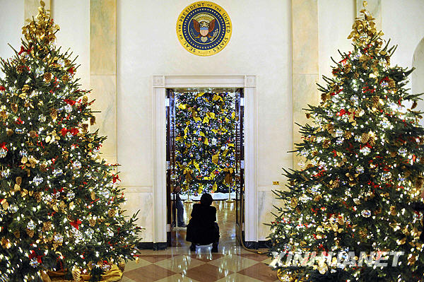 Раскрыты тайны подготовки к празднованию Рождества в Белом доме США 