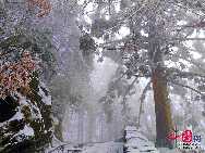 Красивые пейзажи в горах Лушань после снегопада