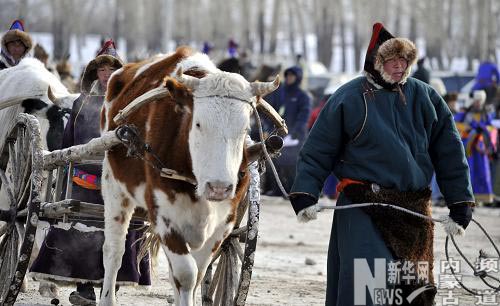 Прекрасные выступления на фестивале «Надам» в городе Хулунбуир Внутренней Монголии 