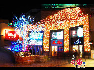 Чудесные лампочки стали красивым пейзажем посреди пекинской зимы. Данный фестиваль продлится до второй декады марта 2010 г. В это время будут зажжены более десяти млн. лампочек.