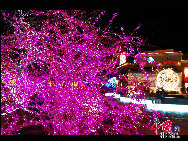 Чудесные лампочки стали красивым пейзажем посреди пекинской зимы. Данный фестиваль продлится до второй декады марта 2010 г. В это время будут зажжены более десяти млн. лампочек.