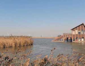 Парк водно-болотных угодий Дунтань на острове Чунмин Шанхая будет открыт до начала ЭКСПО-2010