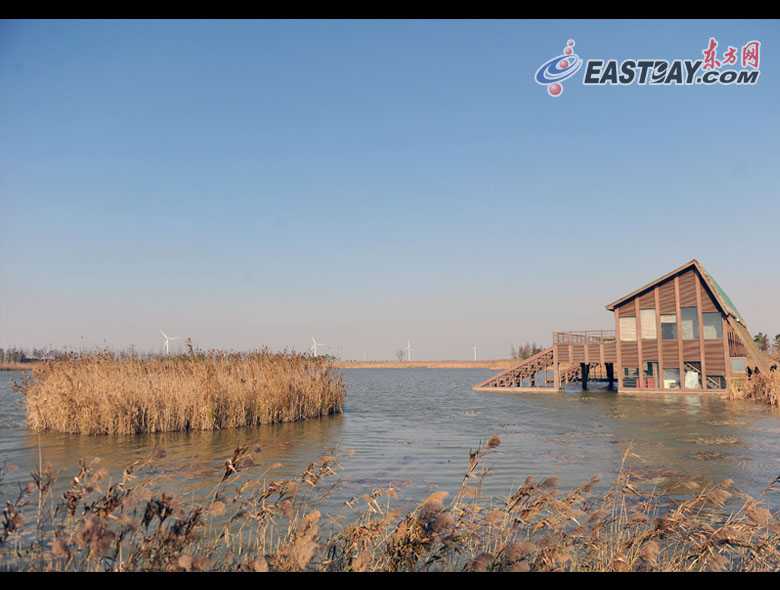 Парк водно-болотных угодий Дунтань на острове Чунмин Шанхая будет открыт до начала ЭКСПО-2010 