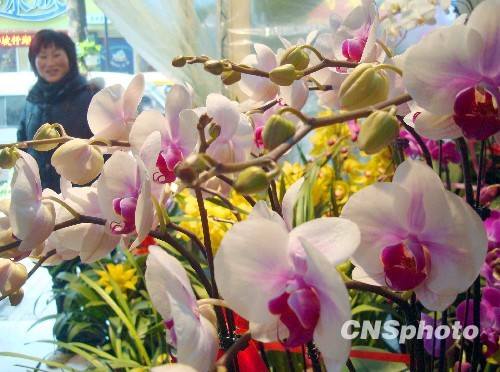 Свежие цветы пользуются популярностью в городе Сучжоу