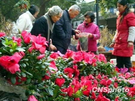 Свежие цветы пользуются популярностью в городе Сучжоу