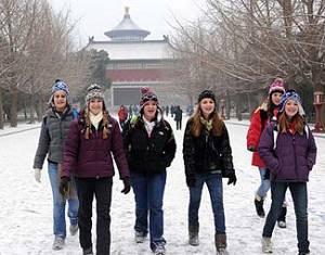 В Пекине выпал первый снег в новом 2010 году