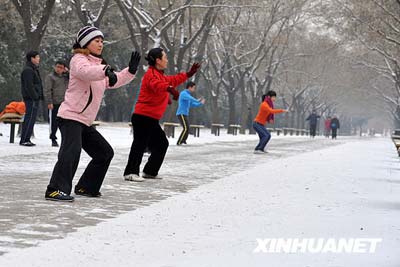 В Пекине выпал первый снег в новом 2010 году