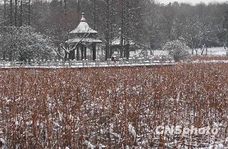 Красивое озеро Дунху в городе Ухань после снегопада