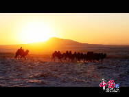 После нескольких снегопадов в степи Силиньголэ стало очень холодно. Монголы, проживающие в данной степи, продолжают пасти животных даже в таких суровых условиях. Их животные находятся в прекрасном состоянии. Степь, пастухи и животные образуют гармоничную симфонию жизни.