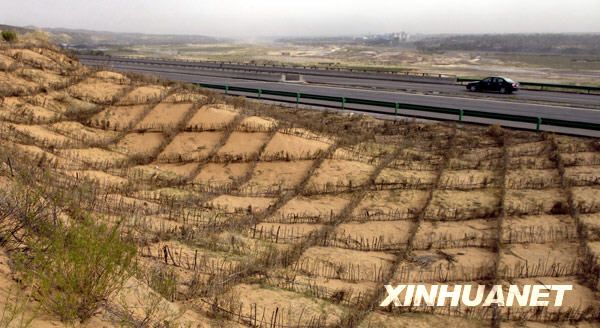Бывший источник пыли стал «зеленым экраном» на севере Китая 2