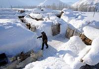 Уезд Фуюнь СУАР: напряженная борьба с заморозками
