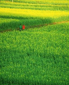 Чудесные пейзажи, снятые фотографом Чжао Чанхуа13
