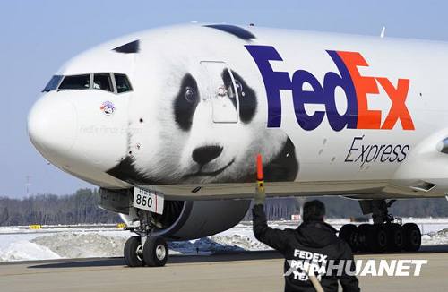 Большая панда «Тайшань» отбыл из США на Родину