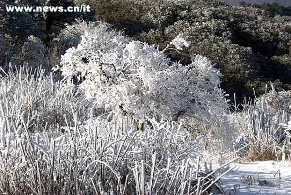 Заповедник «Шэньнунцзя» 