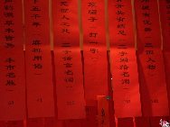 Загадка на фонарике.В первой половине дня 7 февраля 2010 г. было проведено 20-е мероприятие культурных развлечений в Доме культуры района Дунчэн Пекина.