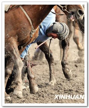 Замечательный конкурс по ловле баранов в Киргизии