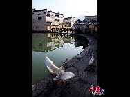 На фото: 20 февраля, отечественные и зарубежные туристы в деревне Хунцунь. В этой тихой и очаровательной деревне царит атмосфера праздника.