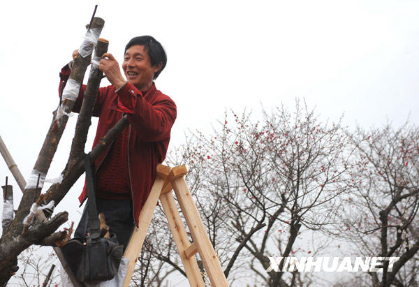 Весело встречают праздник фонарей в Китае 9