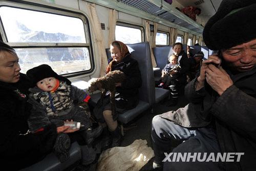 Десятки тысяч голов скота в Синьцзяне были перевезены на поезде