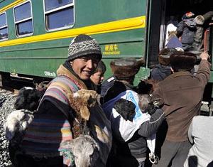 Десятки тысяч голов скота в Синьцзяне были перевезены на поезде