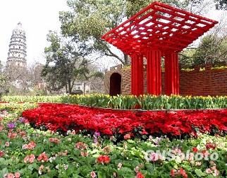 В достопримечательности «Хуцю» города Сучжоу будет проведена выставка цветов на тему «Встреча ЭКСПО-2010»