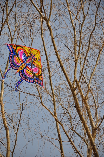 Фестиваль бумажных змеев в парке 'Хайдянь' Пекина5