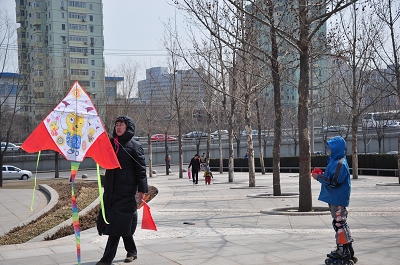 Фестиваль бумажных змеев в парке 'Хайдянь' Пекина8