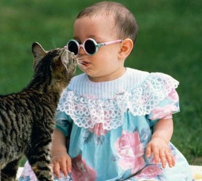 Забавные фотографии детей и кошек 