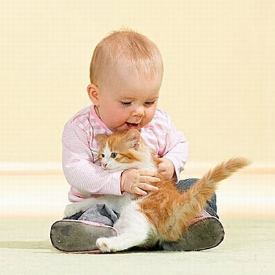 Забавные фотографии детей и кошек 