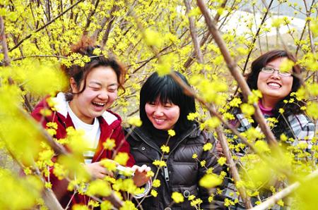 Весной уезд Июань провинции Шаньдун становится привлекательным для туристов