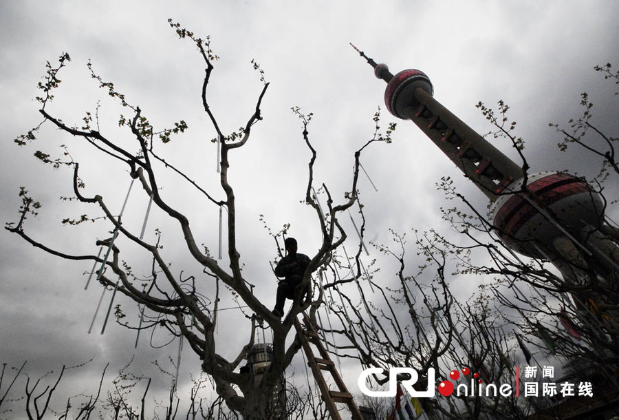 В Шанхае царит праздничная атмосфера в преддверии открытия ЭКСПО-2010: город украшен красивыми клумбами