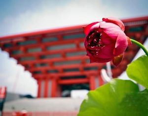 Свежие лотосы украшают национальный павильон Китая