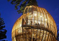 В Новой Зеландии существует ресторан, расположенный на высоте 40 метров над землей, напоминающий по форме шелковичный кокон