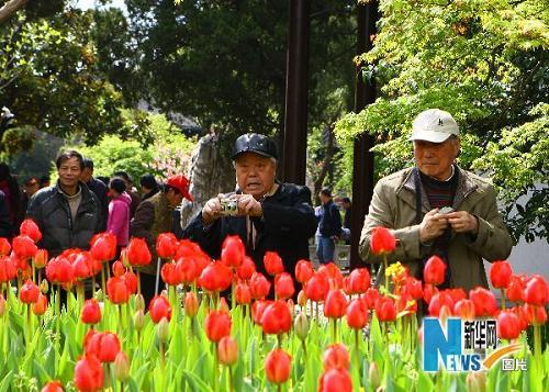 Март по лунному календарю – лучшее время для наслаждения весенними пейзажами в Янчжоу
