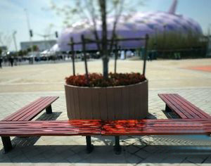 Информация об ЭКСПО: скамейки в парке павильонов ЭКСПО-2010