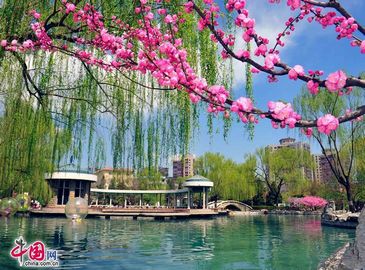 Очаровательные весенние пейзажи в Международном парке скульптур в рекреационном районе Пекина
