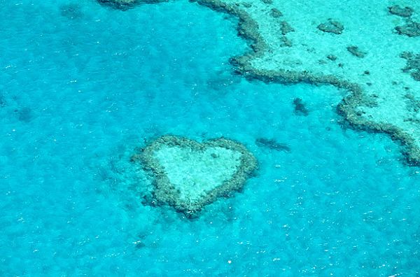 Коралловые рифы в Квинслэнде Австралии