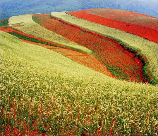 Чудесные пейзажи Шангри-Ла7