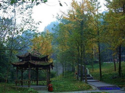 Горы Цинчэншань в провинции Сычуань