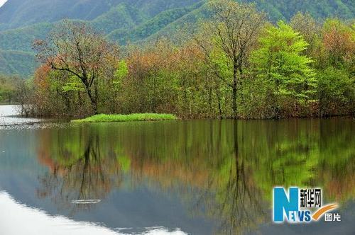 Живописное озеро Дацзюху в известном в Китае и мире заповеднике Шэньнунцзя